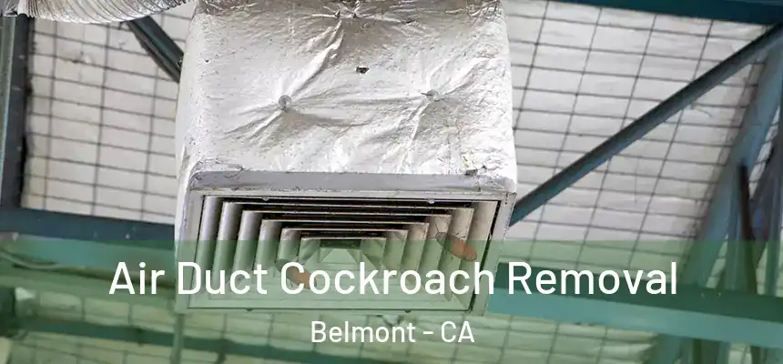 Air Duct Cockroach Removal Belmont - CA
