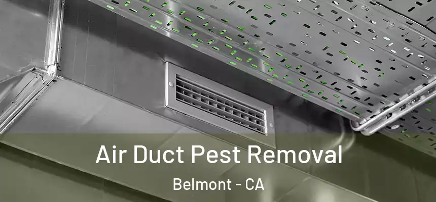Air Duct Pest Removal Belmont - CA