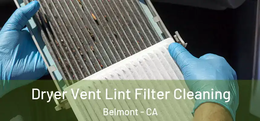 Dryer Vent Lint Filter Cleaning Belmont - CA