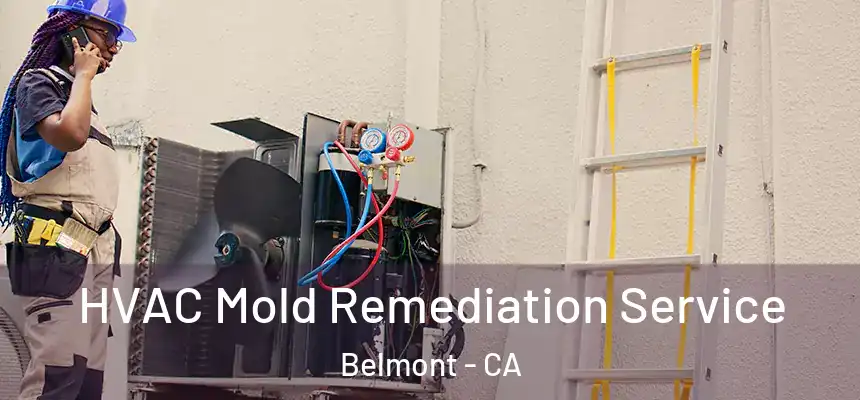 HVAC Mold Remediation Service Belmont - CA
