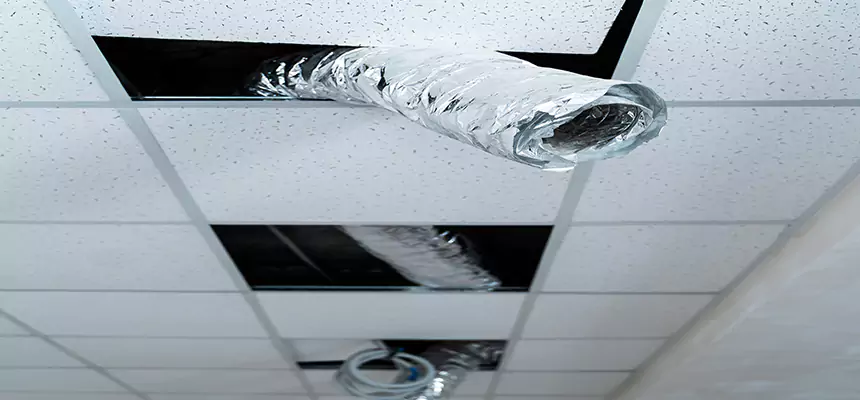 Affordable HVAC Sanitizing After Pest Removal in Belmont