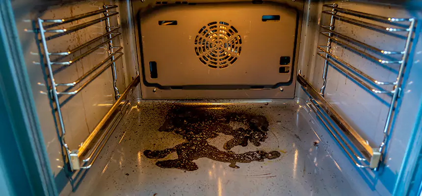 Our Dryer Vent Mold Cleaning Services in Belmont, CA