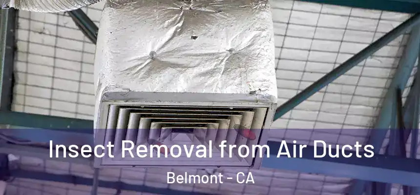  Insect Removal from Air Ducts Belmont - CA