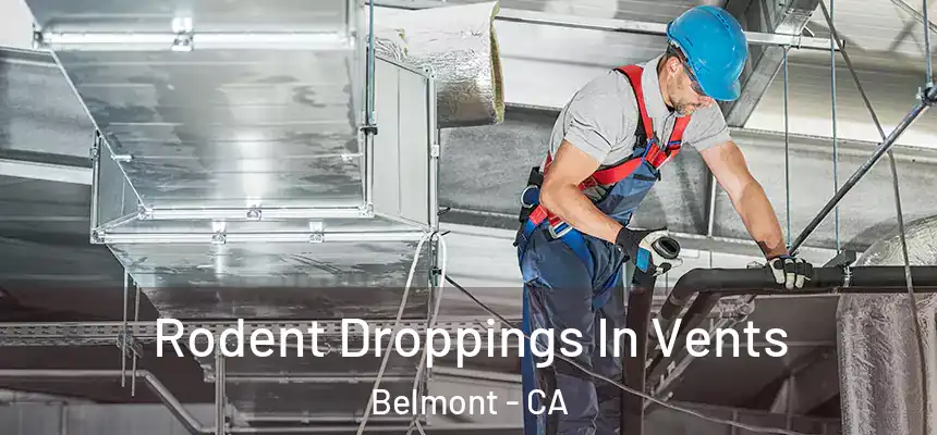  Rodent Droppings In Vents Belmont - CA