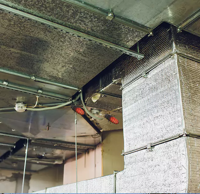 Why Homeowners & Businesses Trust Us in Belmont, CA?