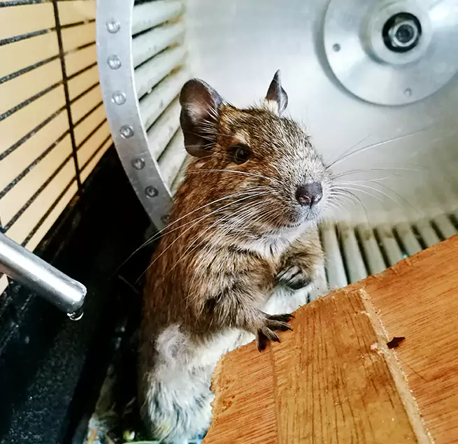 Why Homeowners & Businesses Trust Us Belmont, CA?