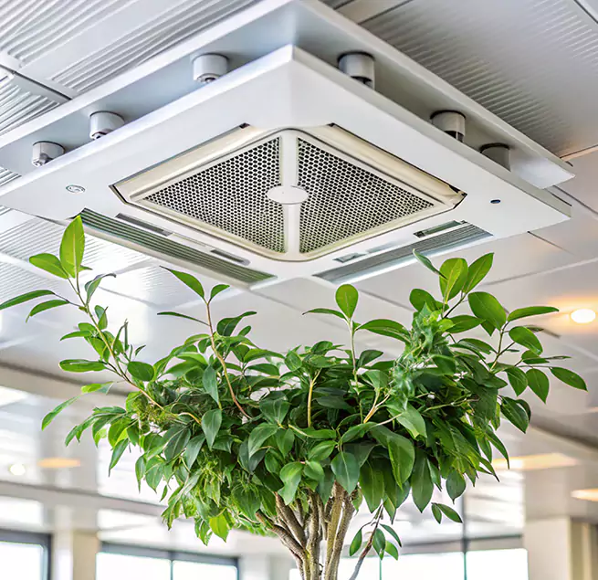 Why Homeowners & Businesses Trust Us in Belmont, CA?